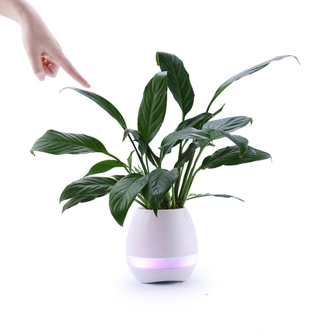 Mini Smart Flower Pot with Bluetooth Speaker