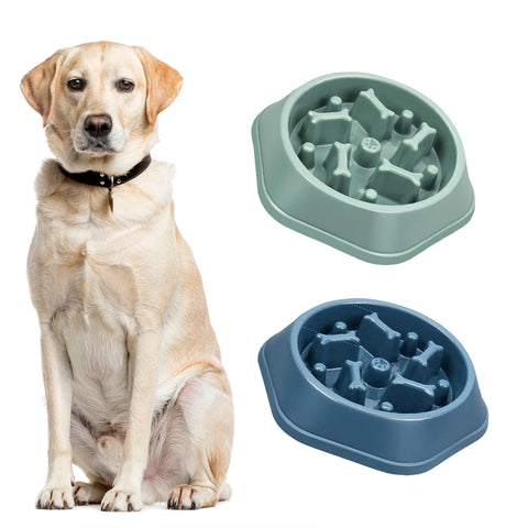 2-Pack: Anti-Choking Slow Feeder Puzzle Design Dog Food Treats Bowl Dish For Small Medium Dogs