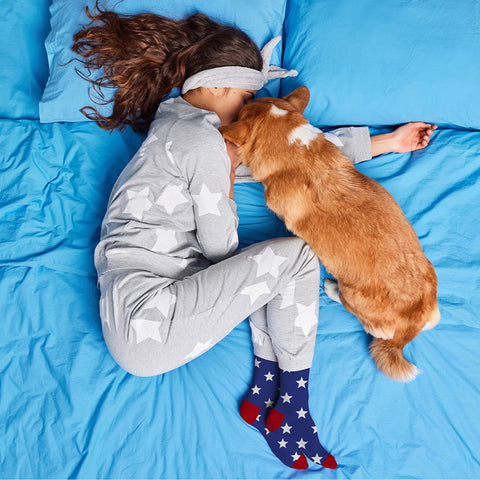 3-Pack: Novelty Matching Pet and Owner Fun Socks Pet Lover Gifts