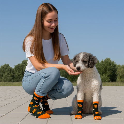 3-Pack: Novelty Matching Pet and Owner Fun Socks Pet Lover Gifts