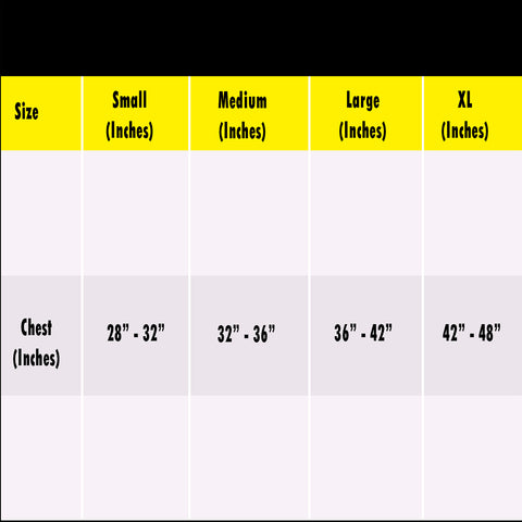 2-Pack: Adjustable Posture Clavicle Support Corrector Back Shoulders Brace