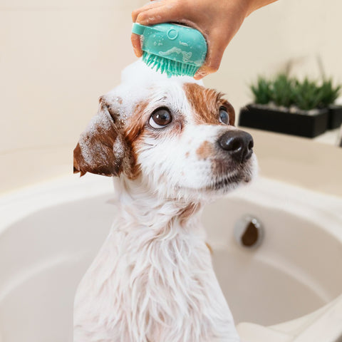 Pet Bath Brush with Shampoo Dispenser – Soft Silicone Dog & Cat Scrubber for Grooming, Washing & Gentle Massage (1 Pack or 2-Pack)