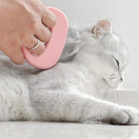 2-Pack or 4-Pack Pet Hair Removal & Massaging Comb Brush – Gentle Grooming & Shedding Tool for Dogs & Cats