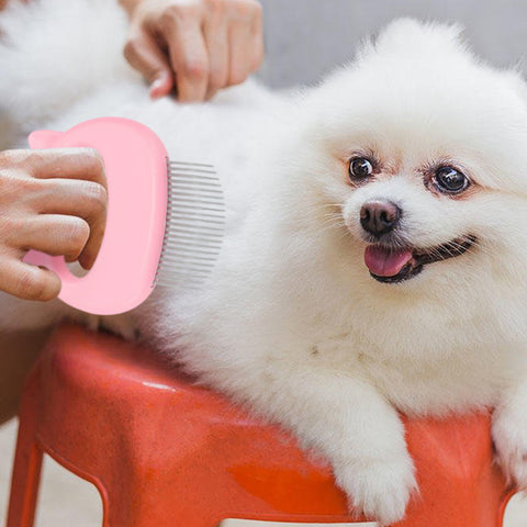 2-Pack or 4-Pack Pet Hair Removal & Massaging Comb Brush – Gentle Grooming & Shedding Tool for Dogs & Cats