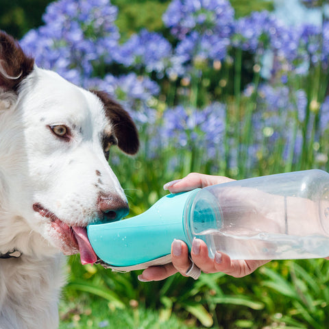 Leak-Proof Portable Dog Water Bottle Dispenser – Travel Pet Water Bottle with Built-In Bowl for Walking, Hiking & Outdoor Use (1-Pack or 2-Pack)
