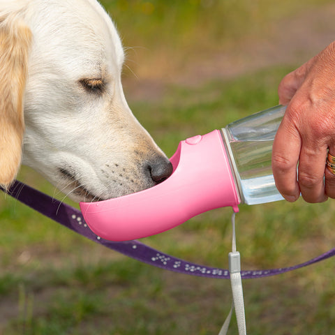 Leak-Proof Portable Dog Water Bottle Dispenser – Travel Pet Water Bottle with Built-In Bowl for Walking, Hiking & Outdoor Use (1-Pack or 2-Pack)