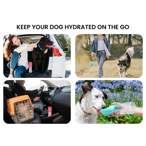 Leak-Proof Portable Dog Water Bottle Dispenser – Travel Pet Water Bottle with Built-In Bowl for Walking, Hiking & Outdoor Use (1-Pack or 2-Pack)