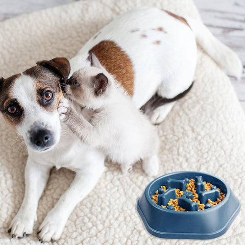 Slow Feeder Dog Bowl – Anti-Choking Puzzle Food Dish for Small & Medium Dogs | Non-Slip Base, Easy Clean (Blue/Green)(1-Pack or 2-Pack)