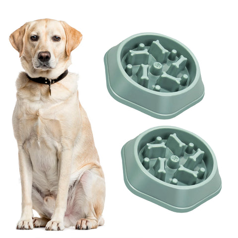 2-Pack: Anti-Choking Slow Feeder Puzzle Design Dog Food Treats Bowl Dish For Small Medium Dogs