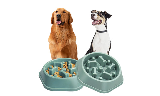 Anti-Choking Slow Feeder Puzzle Design Dog Food Treats Bowl Dish For Small Medium Dogs