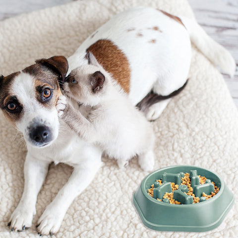 Slow Feeder Dog Bowl – Anti-Choking Puzzle Food Dish for Small & Medium Dogs | Non-Slip Base, Easy Clean (Blue/Green)(1-Pack or 2-Pack)