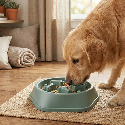 Slow Feeder Dog Bowl – Anti-Choking Puzzle Food Dish for Small & Medium Dogs | Non-Slip Base, Easy Clean (Blue/Green)(1-Pack or 2-Pack)