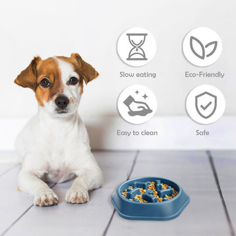 Slow Feeder Dog Bowl – Anti-Choking Puzzle Food Dish for Small & Medium Dogs | Non-Slip Base, Easy Clean (Blue/Green)(1-Pack or 2-Pack)