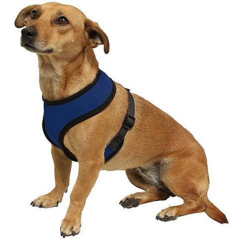 Dog Harness - Blue
