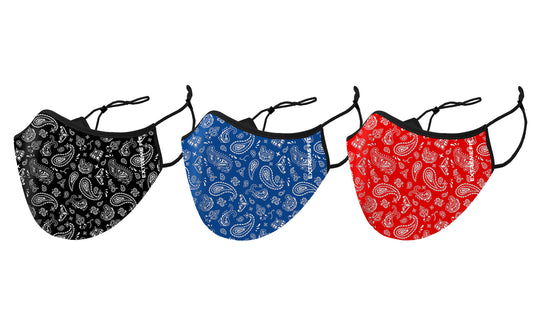 Two-Layer Reusable Paisley Prints Face Mask With Adjustable Earloop (3-Pack)