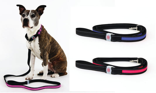 Rechargeable LED Illuminating Dog Leash