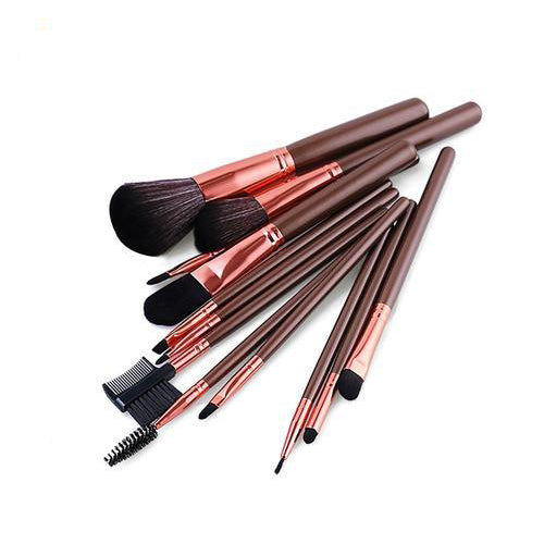 13-Piece : Professional Makeup Brush Set with Pouch