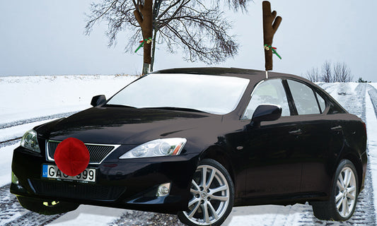 Reindeer Car Decoration