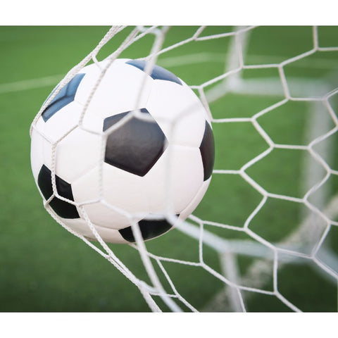Mini Sport Soccer Goal Set