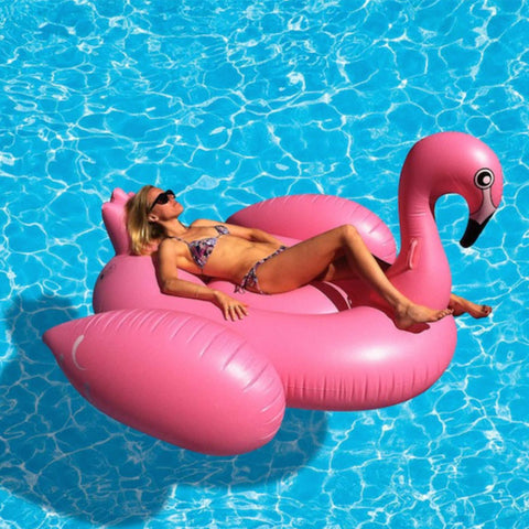 Swan and Pink Flamingo Floater