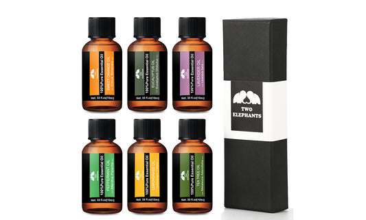 6-Piece: Aromatherapy Therapeutic Grade Essential Oil Gift Set